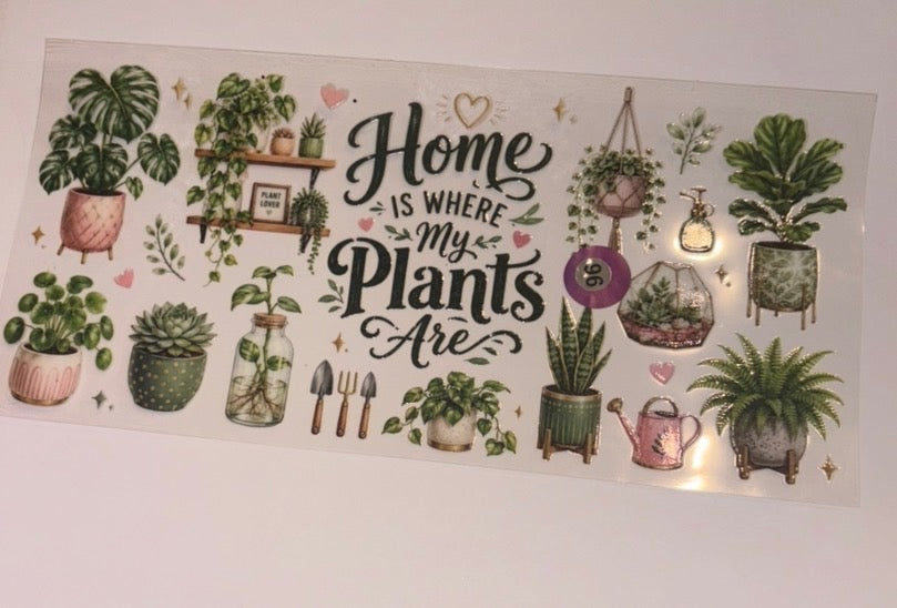 home plants